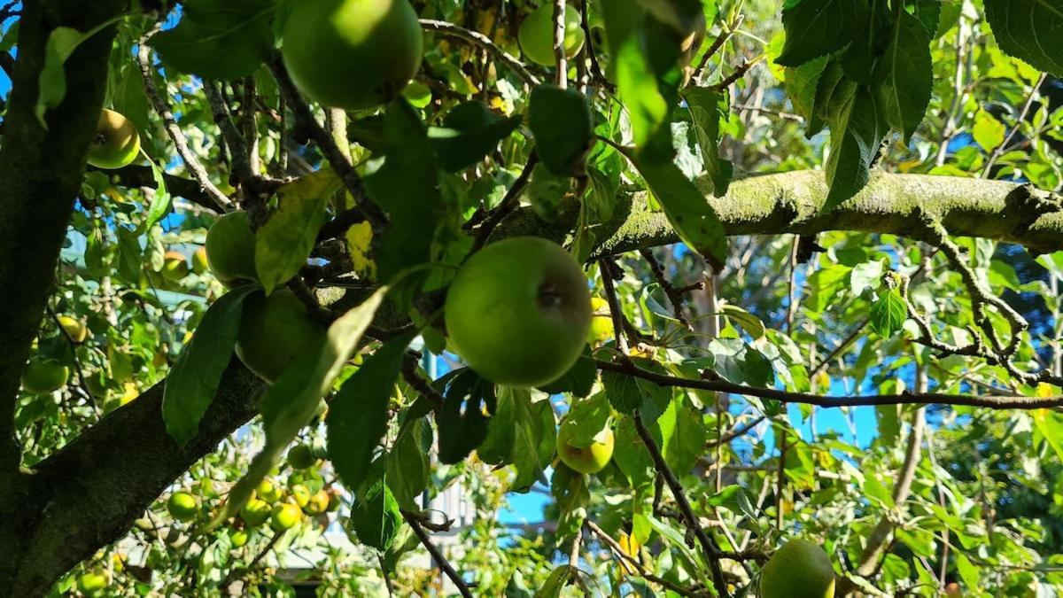 Bidwills Gem Villa Greytown Bagian luar foto